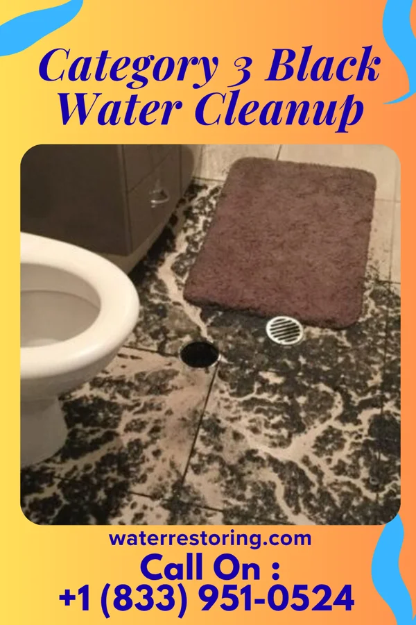 Category 3 Black Water Cleanup in Orbisonia, PA