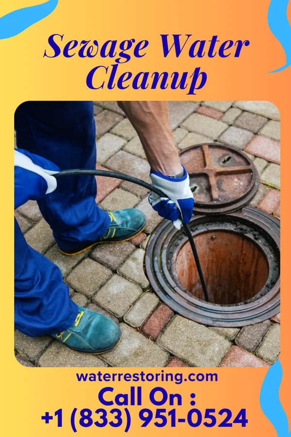 Sewage Water Cleanup in Orbisonia, PA